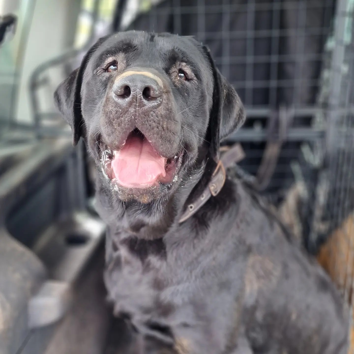 395077443_644960081164510_5013943871070409726_n