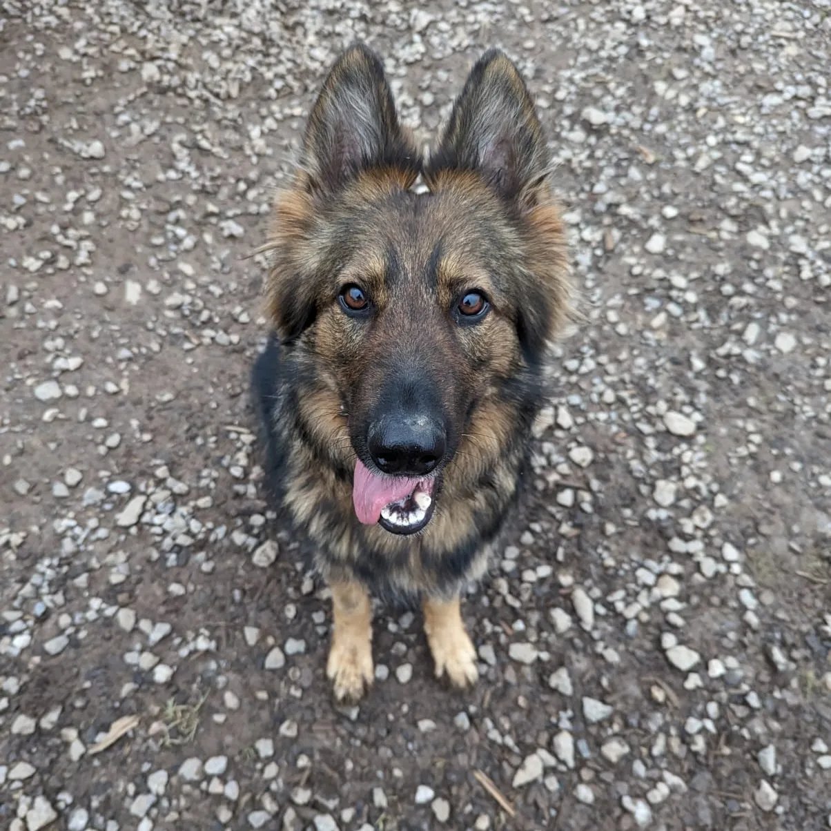 416107401_687271903599994_247786017789167240_n