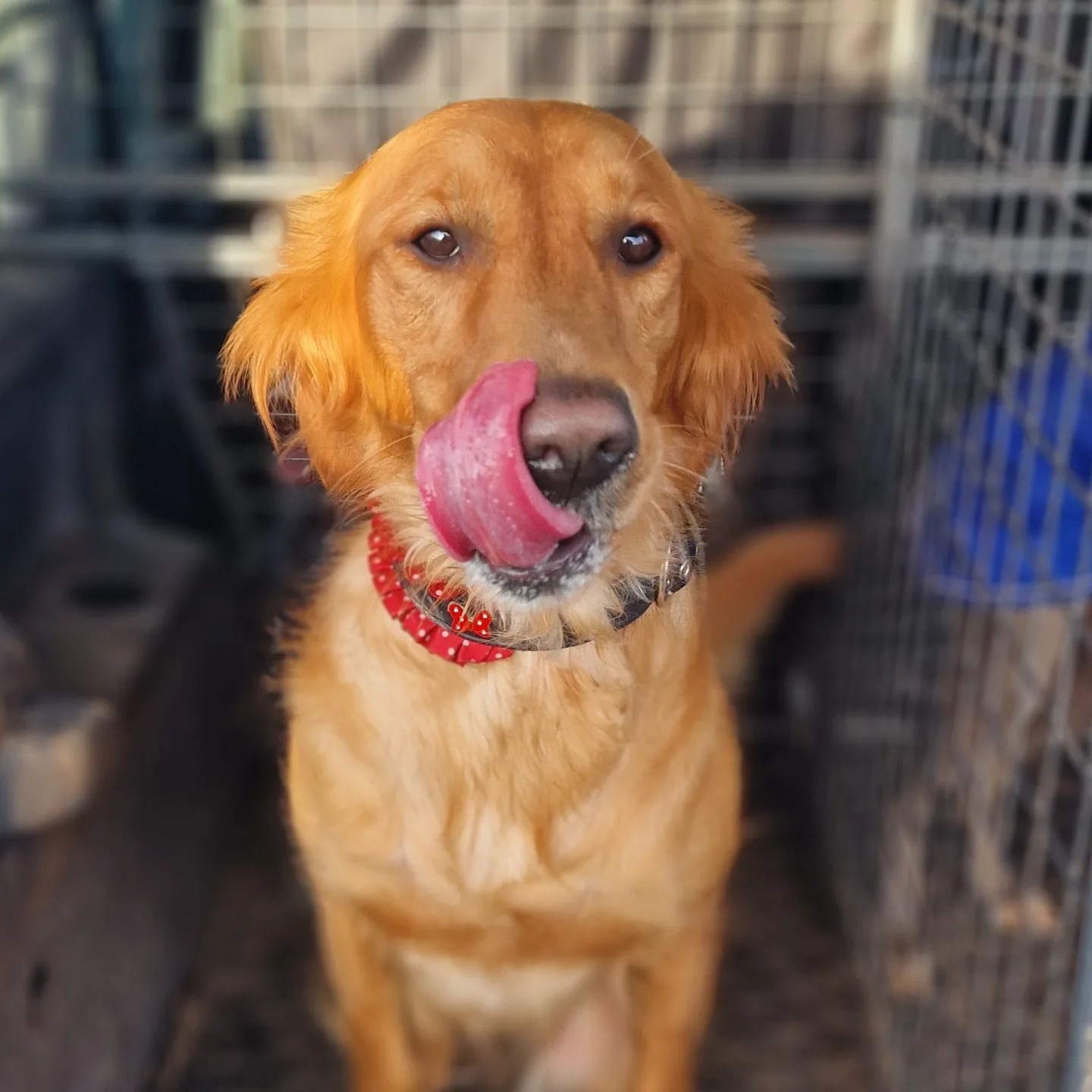 419223048_691120119881839_1166446005820051362_n