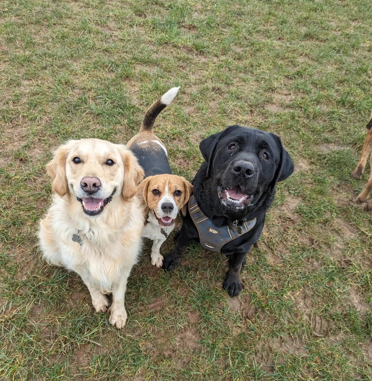 426619170_704633288530522_4030496732714119705_n